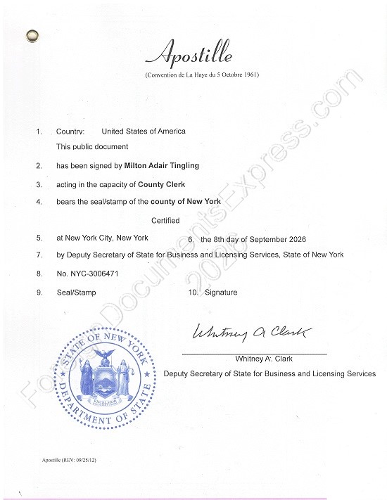 New York Hague apostille 2026 Hague apostille from New York